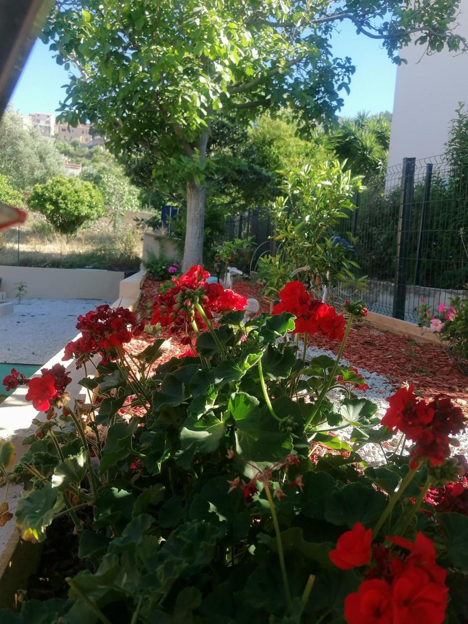 A Casa Assulanatta Bed & Breakfast Santa-Reparata-di-Balagna Exterior photo